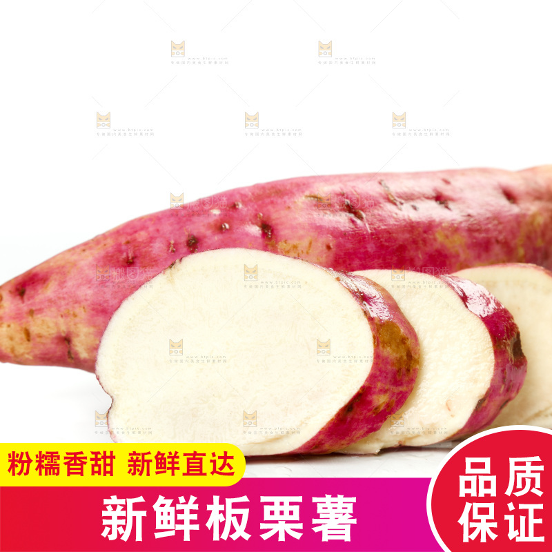 白底上的沙地板栗薯