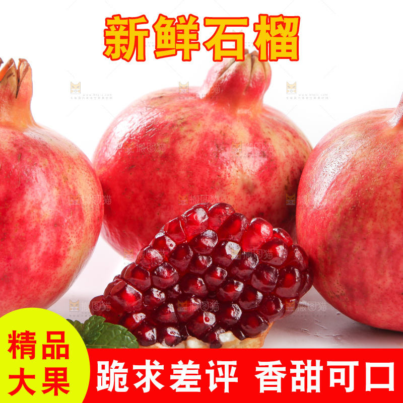 白底上的软籽石榴