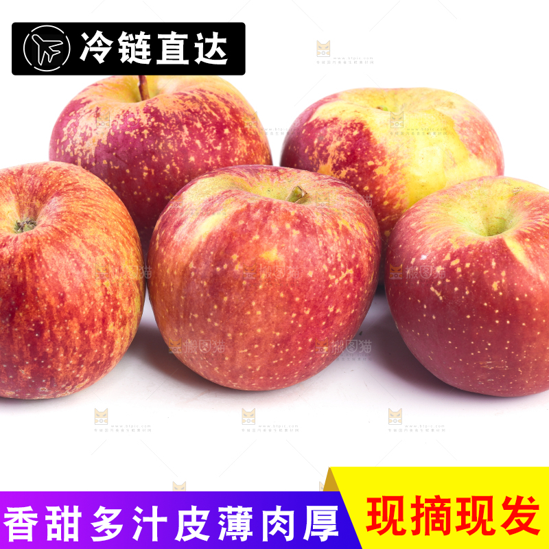 白底上的盐源丑苹果