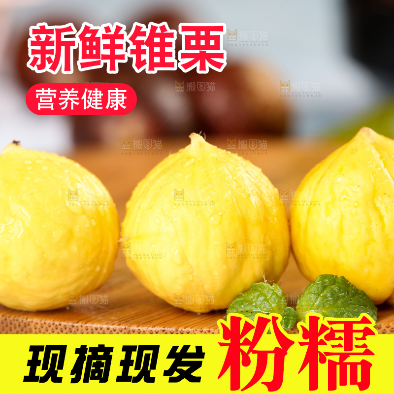 木底上放着锥栗仁