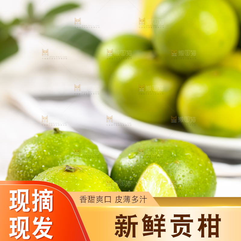 白底上的武鸣皇帝柑