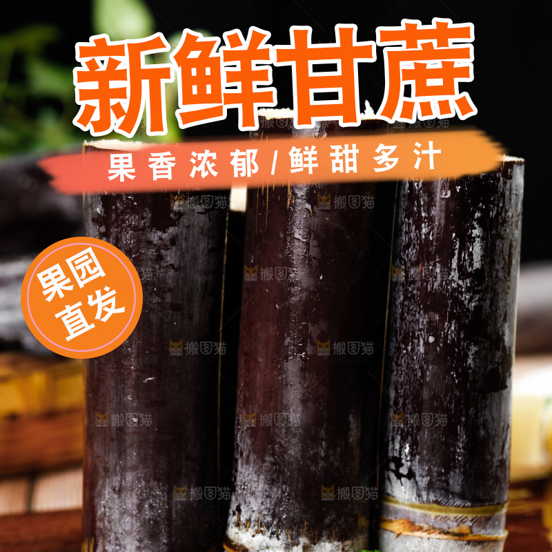 深木底上的广西甘蔗
