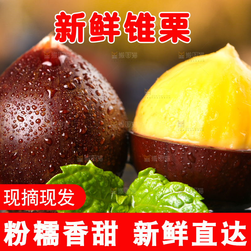 黑底上的栗子