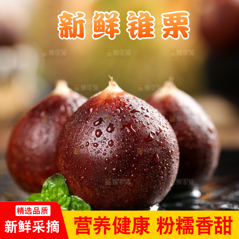 黑底上的栗子