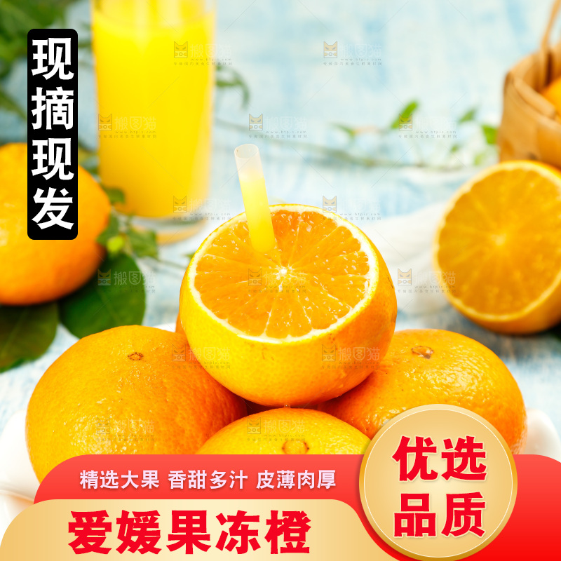 浅蓝底上一盘爱媛38号