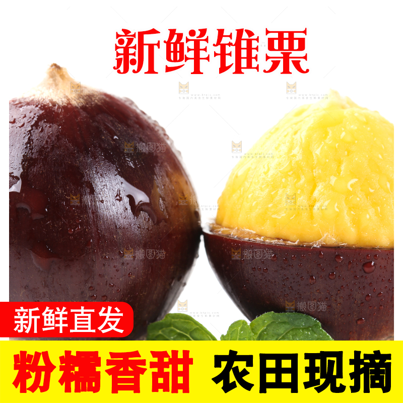 白底上放着建瓯锥栗