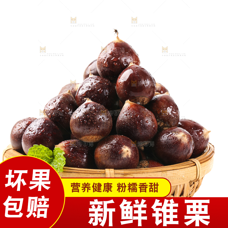 白底上篮子里的