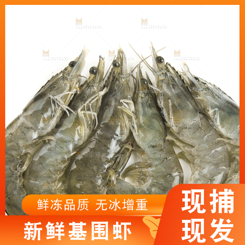 白底上放着对虾