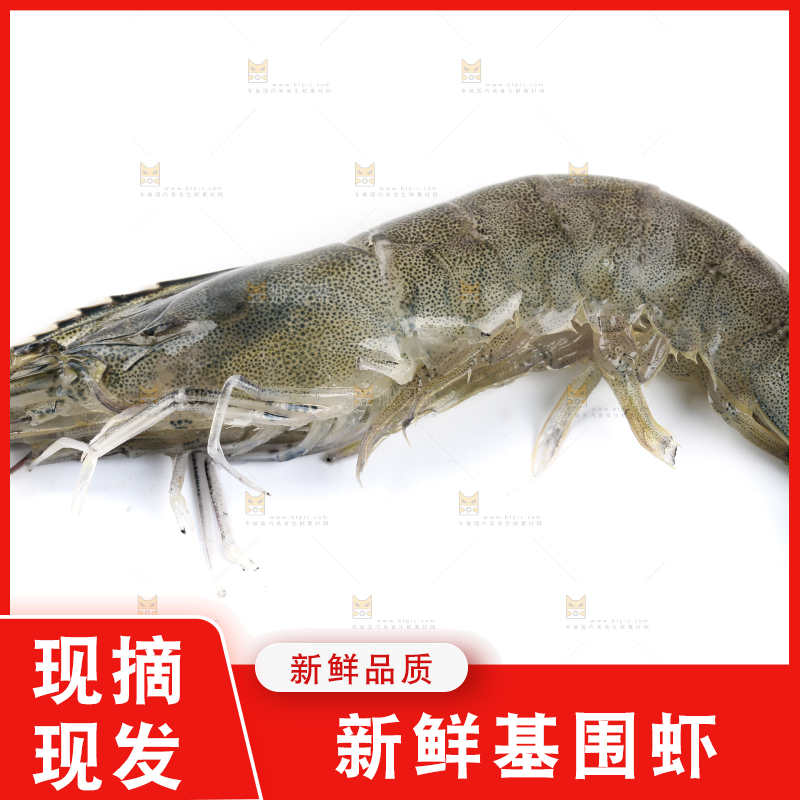白底上的基围虾
