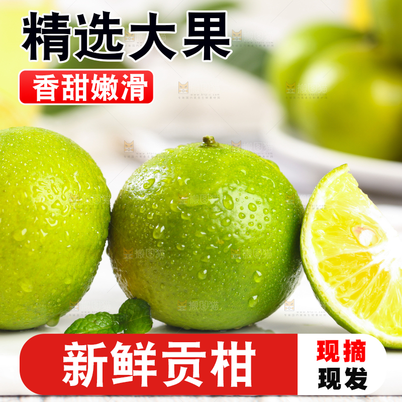 白底上的武鸣皇帝柑