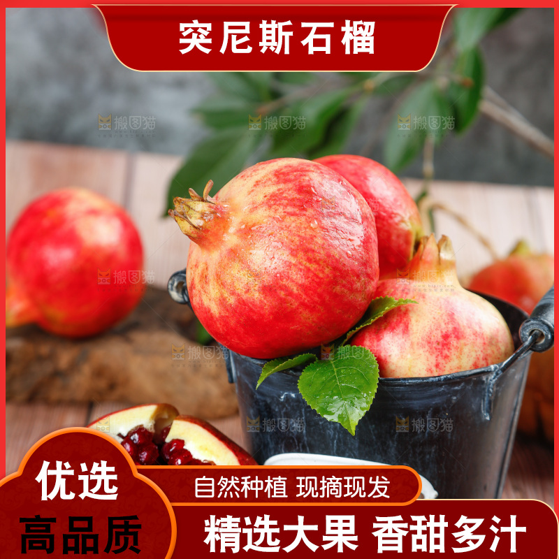 黑底上桶里的黑珍珠石榴
