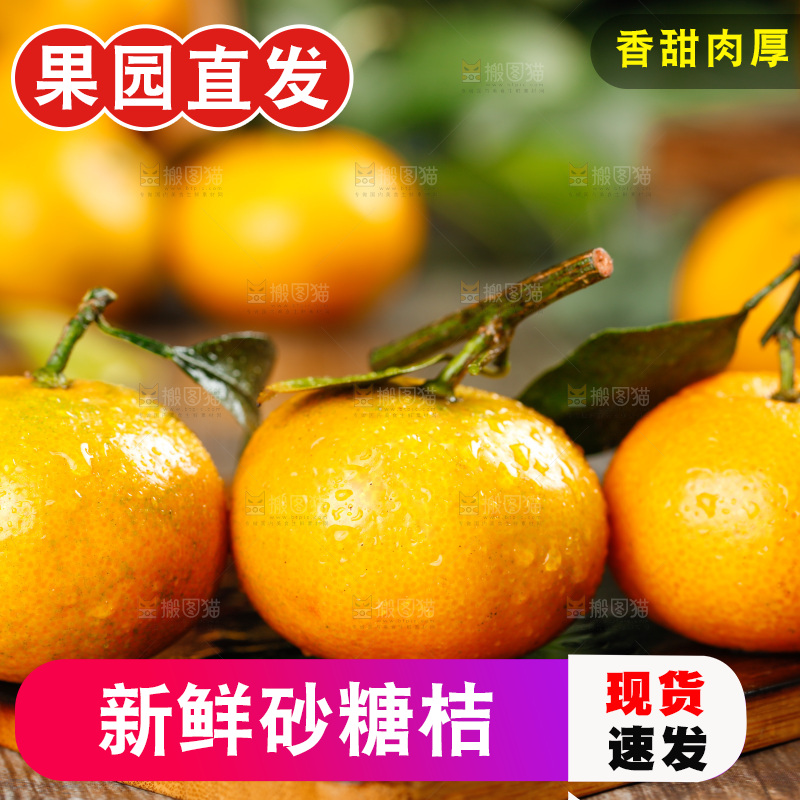 木底上的小蜜橘