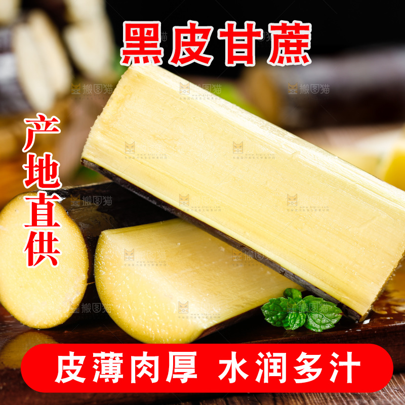 深木底上的广西甘蔗