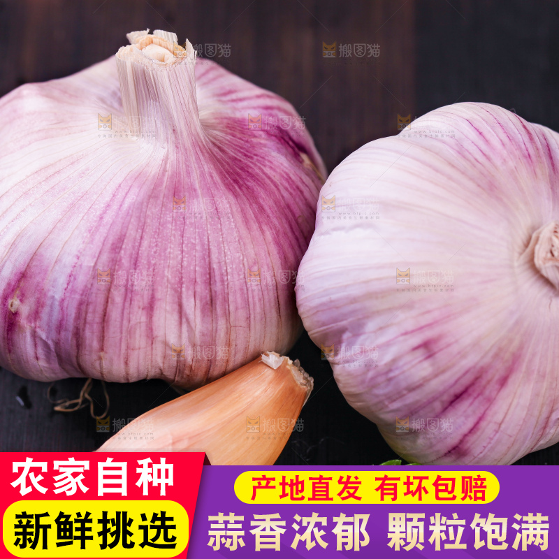 黑底上的紫皮大蒜