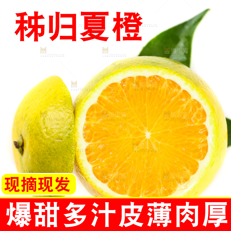 白底上切块的脐橙