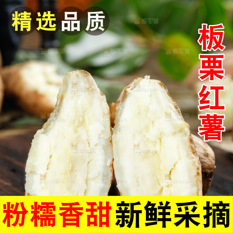 深底上的白心红薯