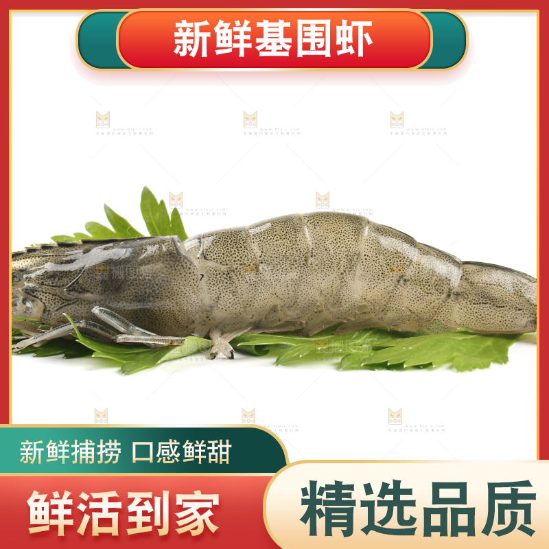 白底上的基围虾