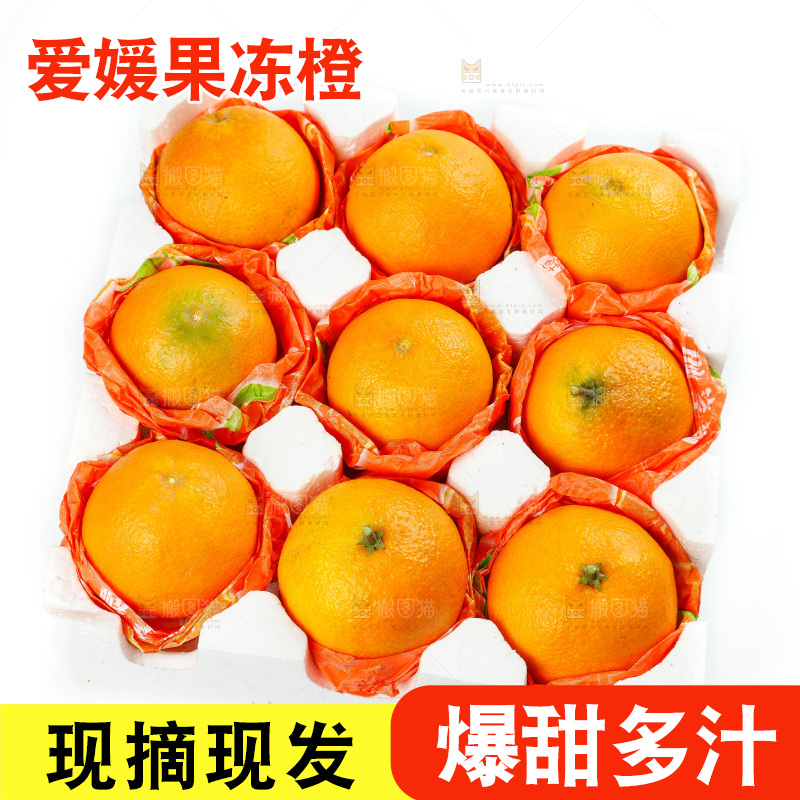 白底上放着一箱爱媛桔橙