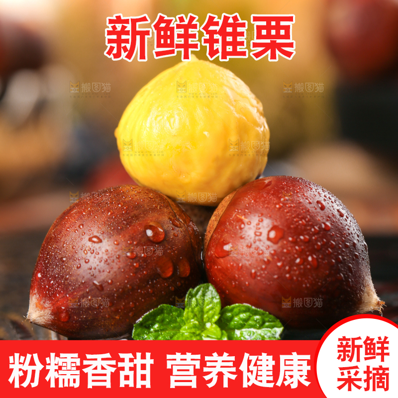 黑底上的高山锥栗