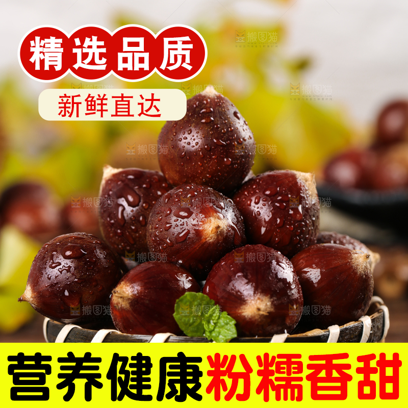 黑底上一篮建瓯锥栗