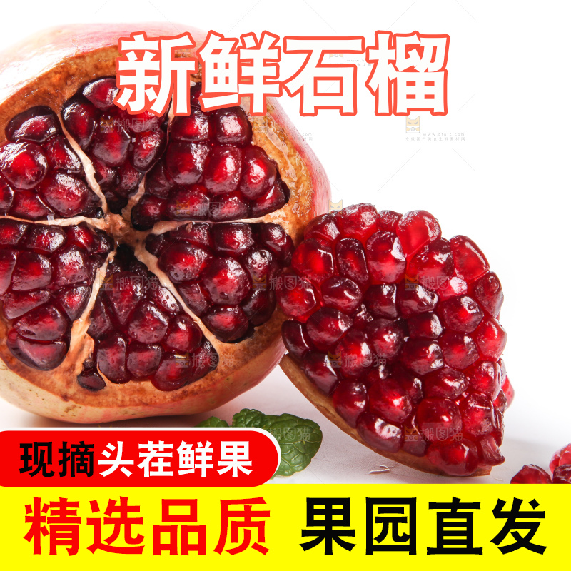 白底上黑籽石榴