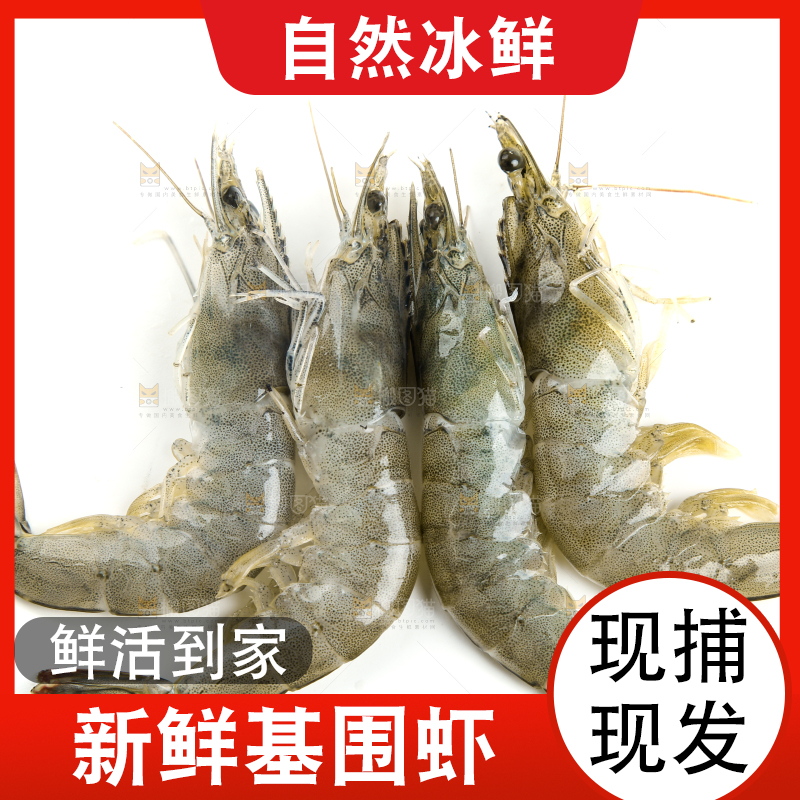 白底上放着对虾