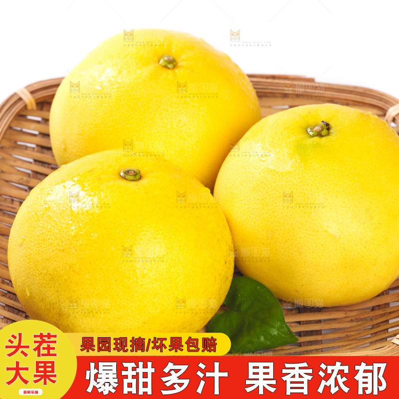 白底上篮子里的鸡尾葡萄柚