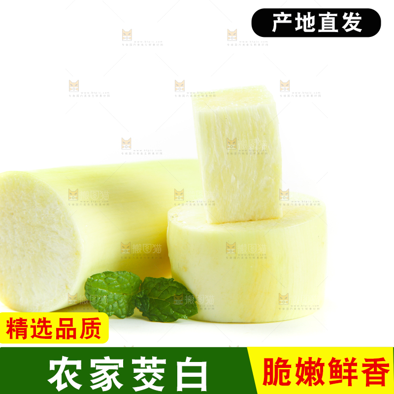 白底上的茭白
