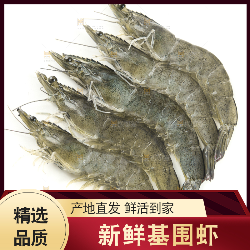 白底上的基围虾