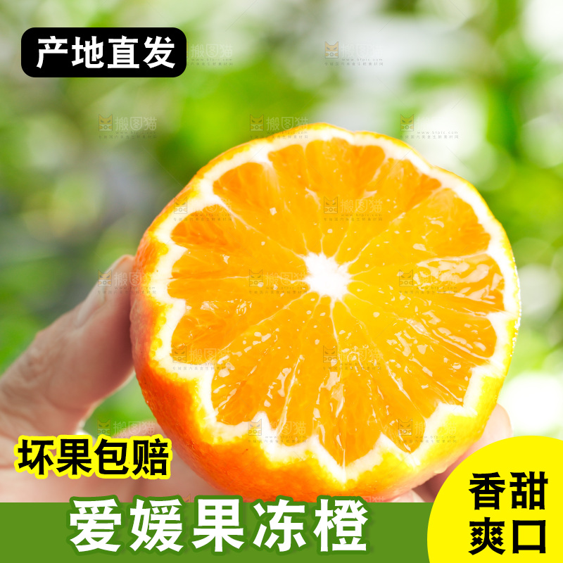 手上拿着爱媛