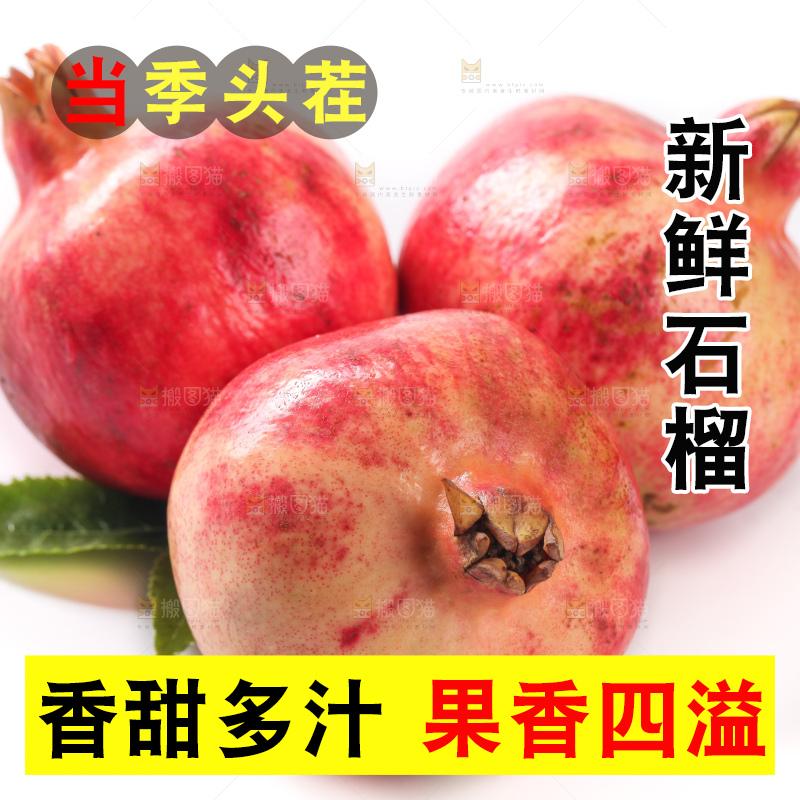 白底上的红石榴