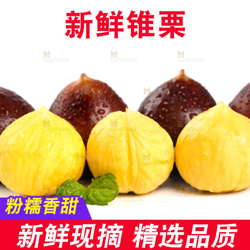 白底上的栗子和锥栗仁