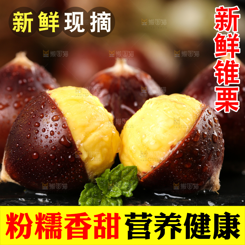黑底上放着高山锥栗