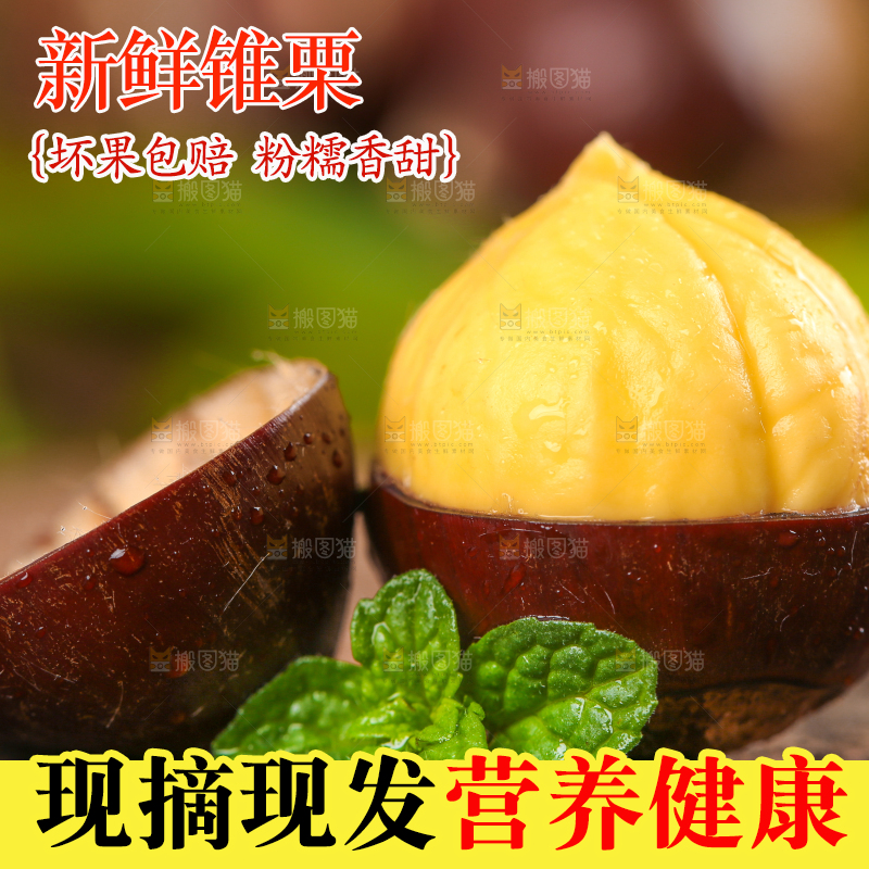 木底上放着锥栗仁