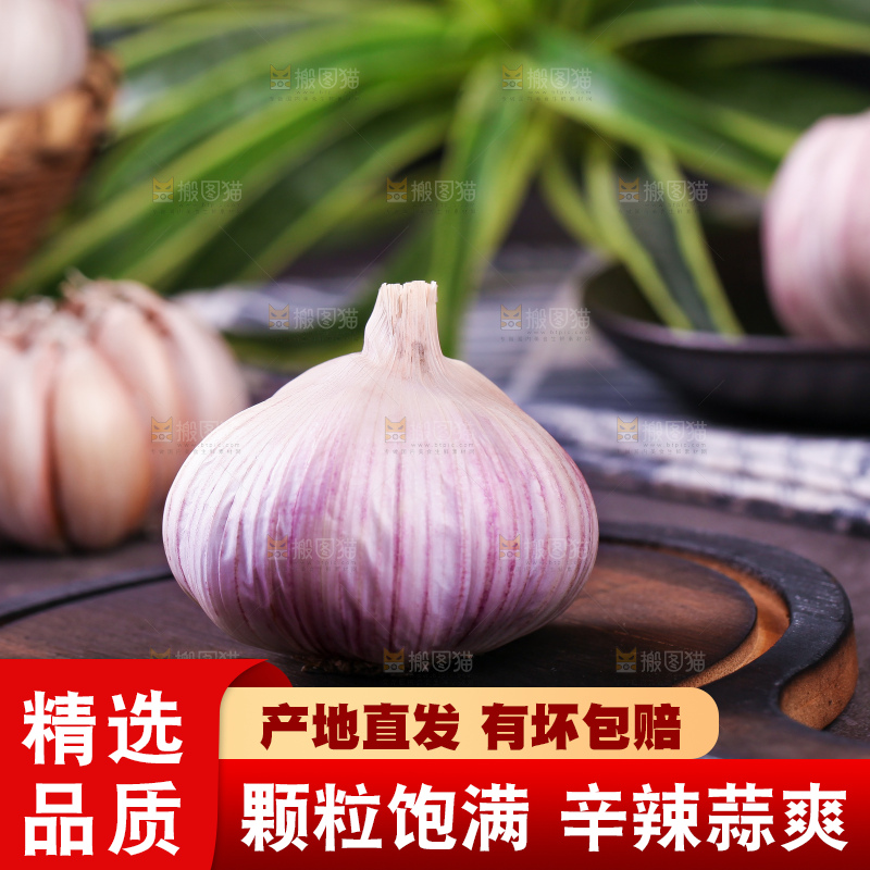 深木板上放着紫皮大蒜
