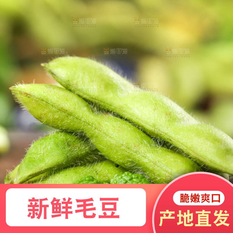 木底上的农家毛豆
