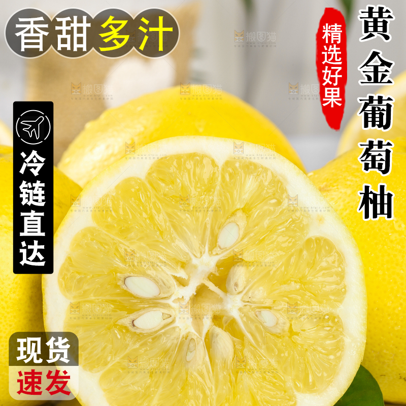 白底上一盘鸡尾葡萄柚