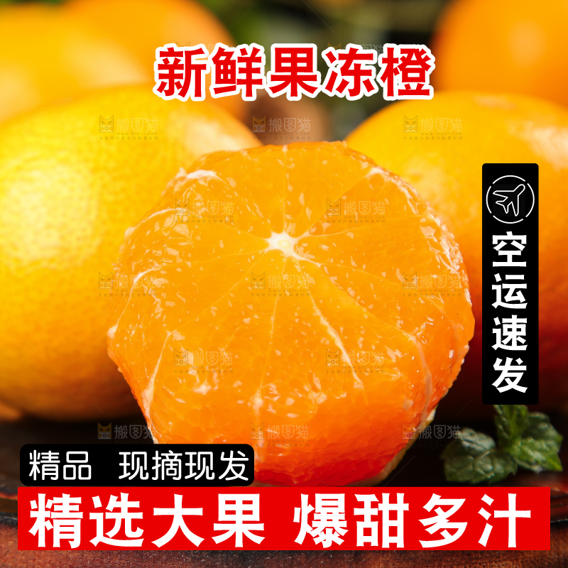 深木底上的爱媛38号