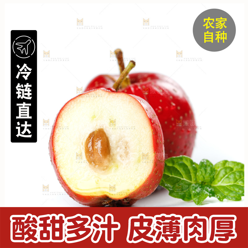 白底上的山楂果