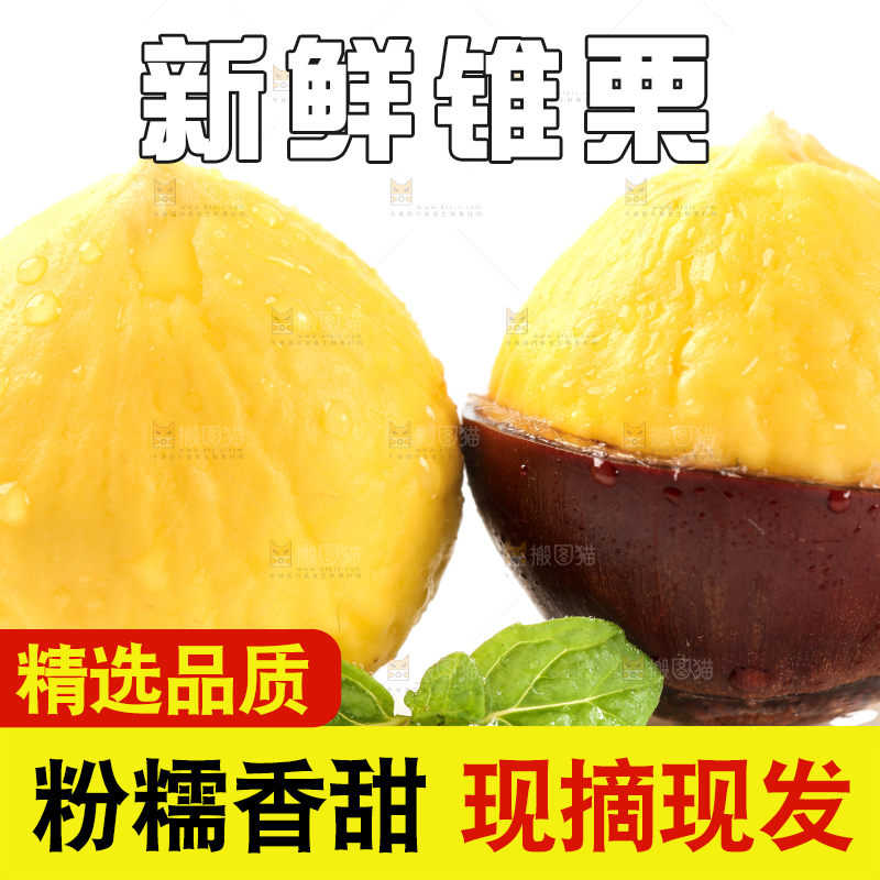 白底上的栗子和锥栗仁
