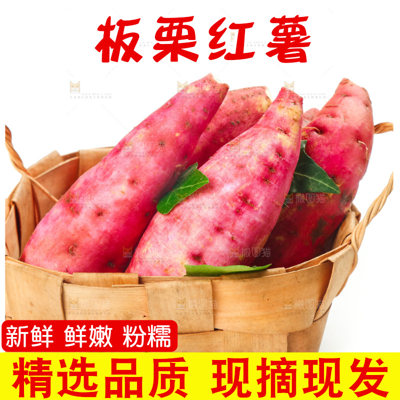 白底上一篮新鲜白心板栗薯