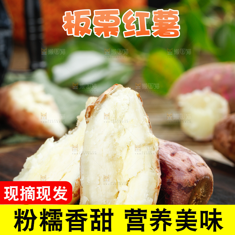 深底上的白心红薯