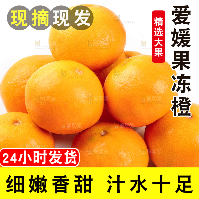 白底上一堆新鲜爱媛果冻橙