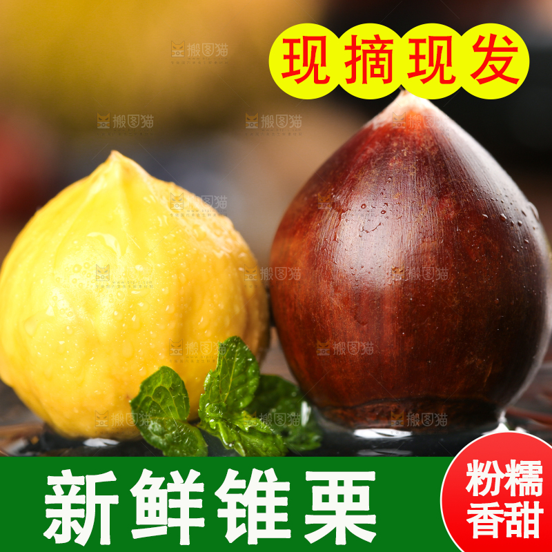 黑底上放着建瓯圆锥栗
