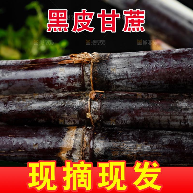 一堆新鲜黑皮甘蔗