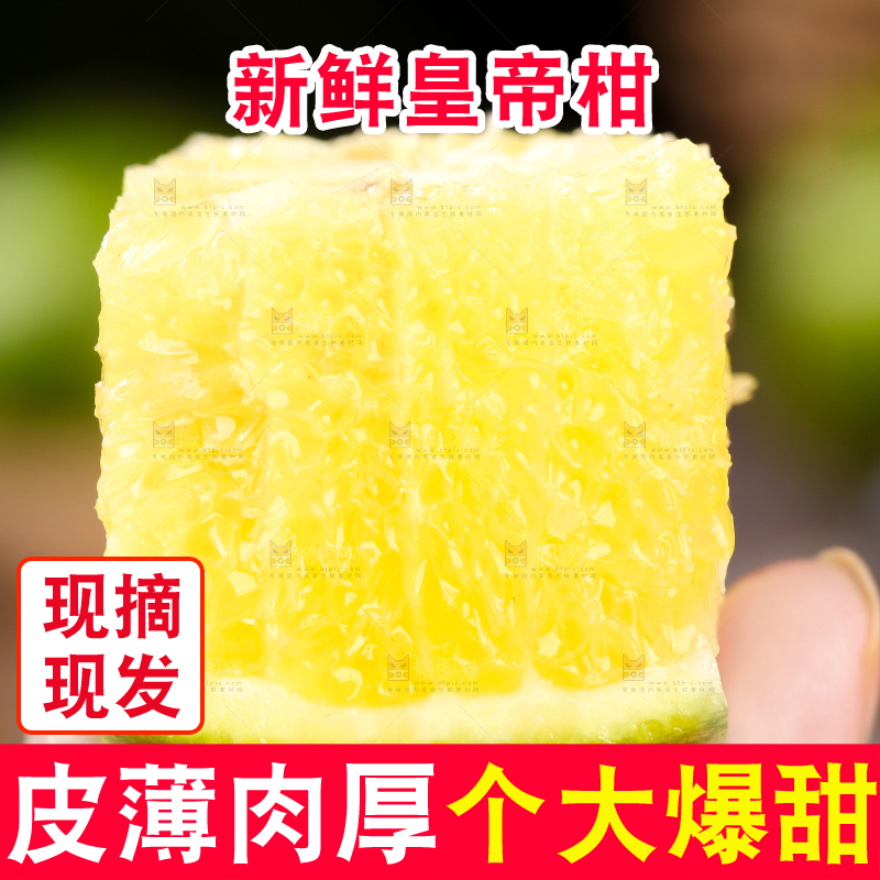 手上拿着贡柑