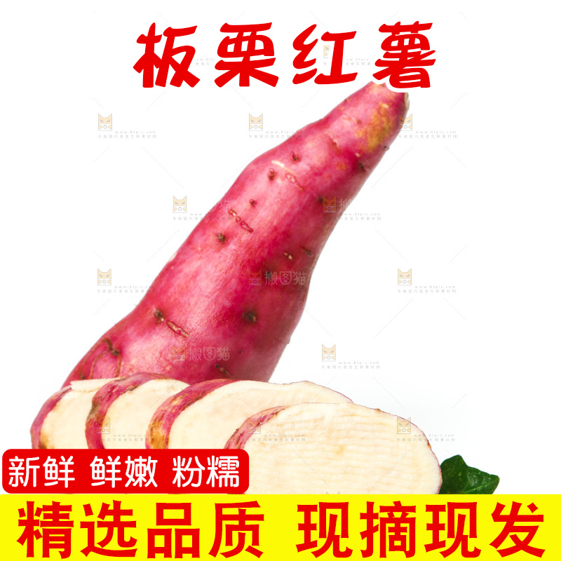 白底上的白心板栗薯