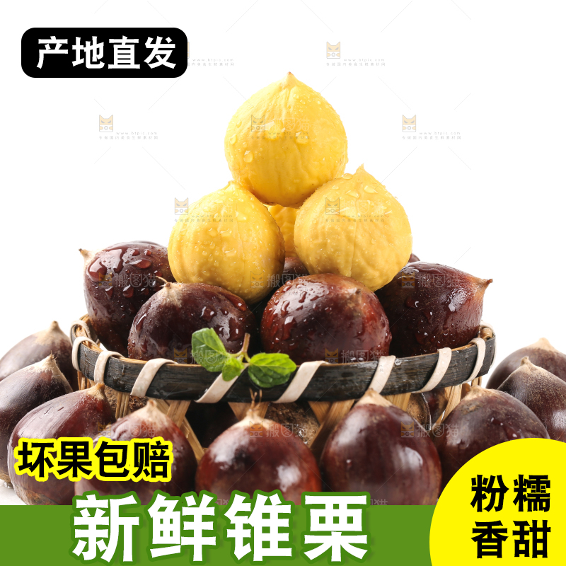 白底上篮子里的