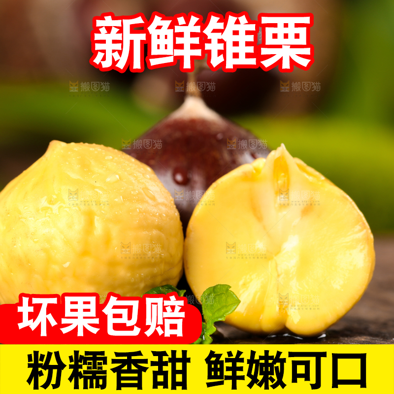 深底上的油锥栗