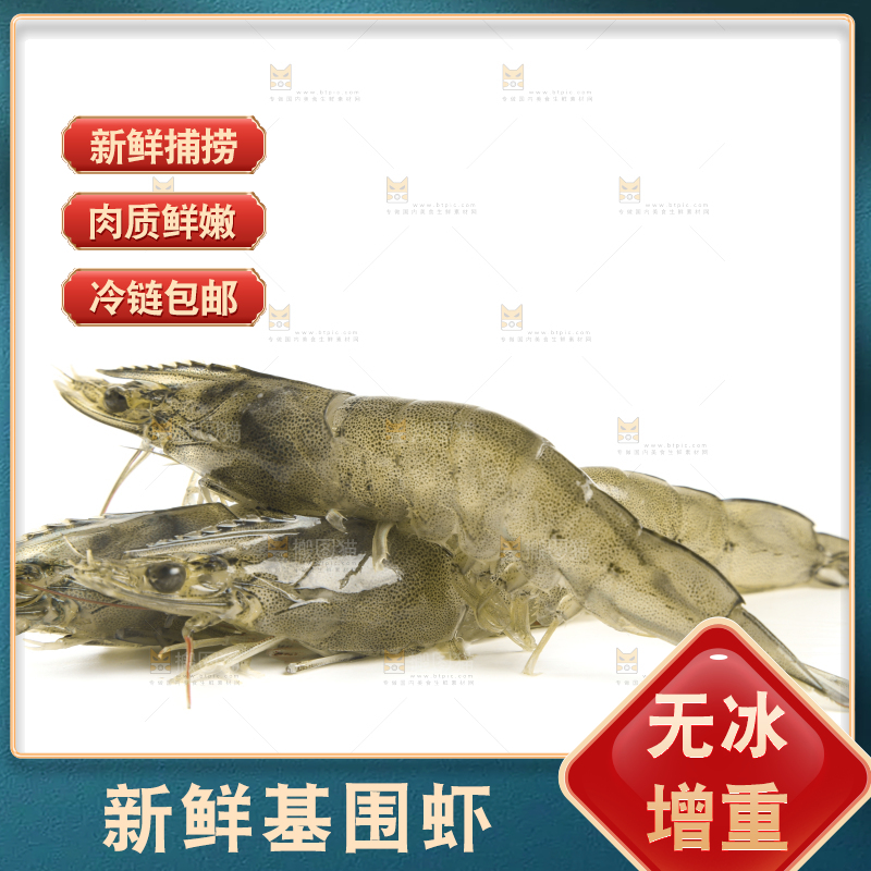 白底上放着新鲜基围虾